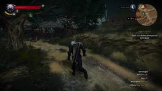 [PS4] The Witcher 3: Blood and Wine Patch 1.22 - Bee-hive glitch