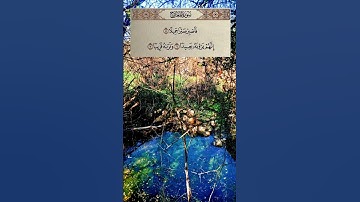 سورة المعارج الآية 5 6 7.    #القرآن_الكريم #quran #الصبر
