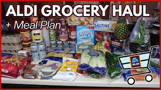 1-Week Aldi Grocery Haul & Meal Plan | OUR THANKSGIVING LOOKS DIFFERENT THIS YEAR