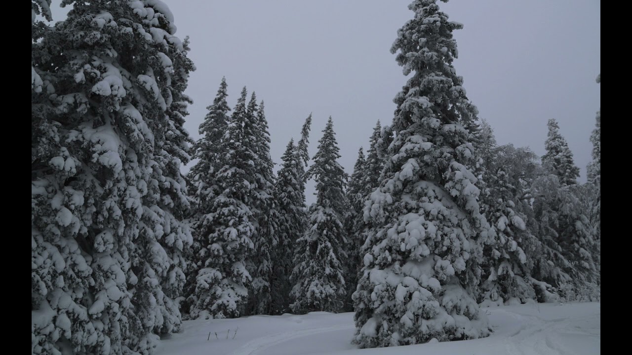 Архиповский Алексей Маленькая вещь (фото окрестности г. Иремель)