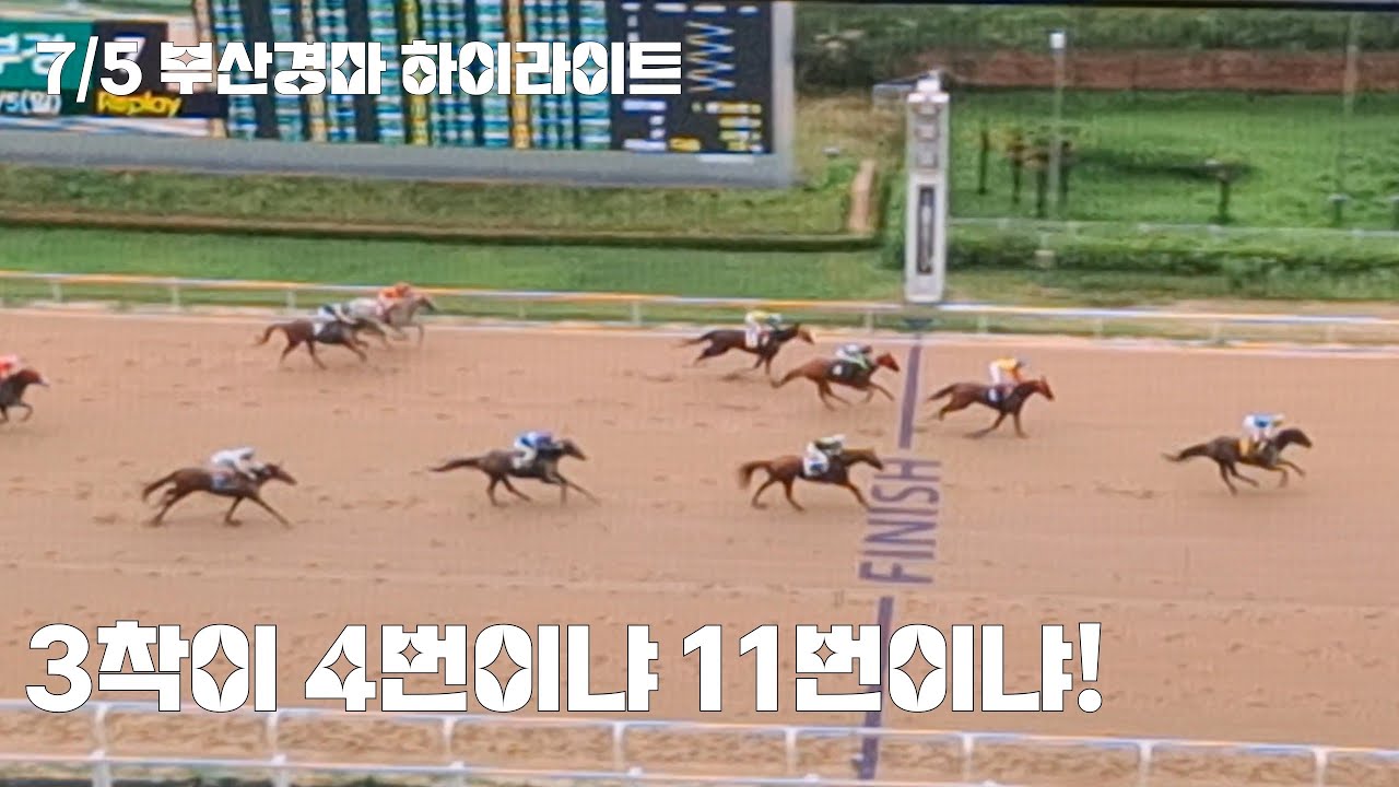 복식보다 삼복식이 중요해!(눈크게 뜨고잘보자! 부산경마 하이라이트)
