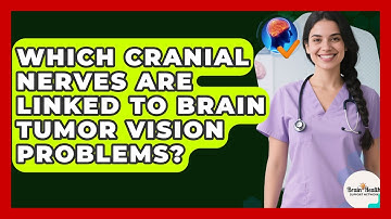 Which Cranial Nerves Are Linked To Brain Tumor Vision Problems? - Brain Health Support Network