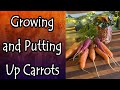 Growing and Putting Up Carrots
