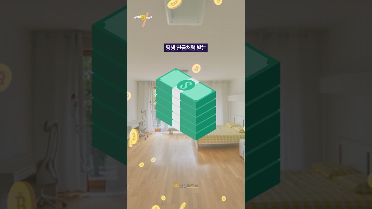 동영상 재생