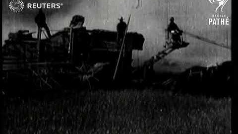 Harvesting machines cut, thresh, and sack wheat (1920)