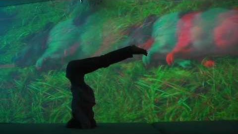 Beauty: Yoga at the MoMA with Elena Brower, Pipilotti Rist, Cinematic Orchestra (music & light)
