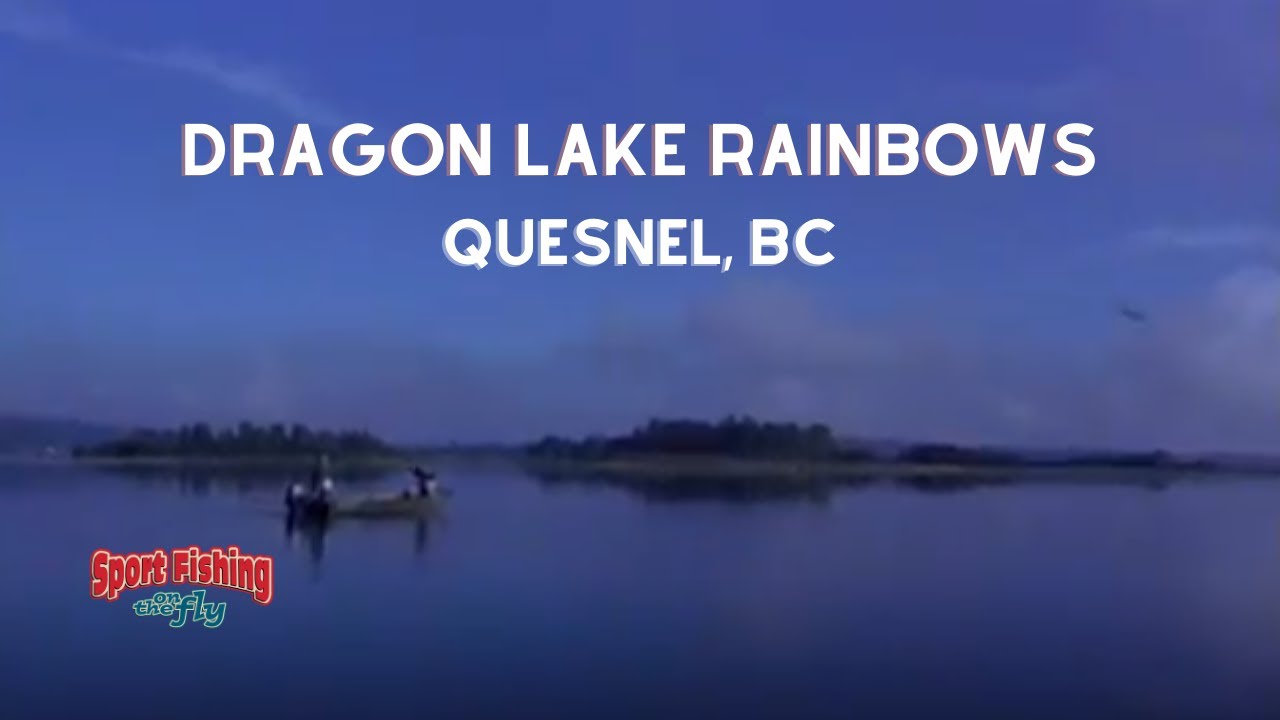 FLY FISHING WORLD FAMOUS DRAGON LAKE YouTube