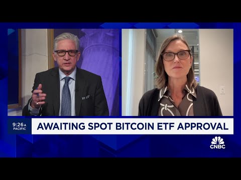 ARK Invest CEO Cathie Wood on spot bitcoin ETF
