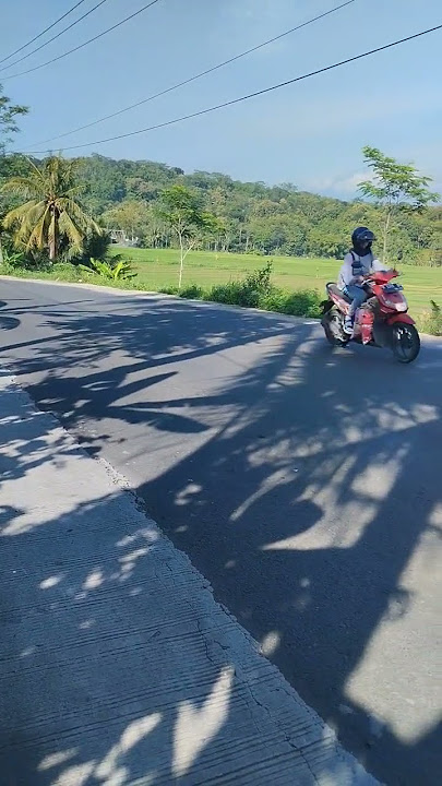 terus semangat para petani #sawah #petani #pertanian #padi #storywa