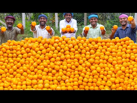 ORANGE JUICE | Huge Orange Juice Making | Orange Recipes | Cooking Kesari Dessert Recipe in Village's Avatar