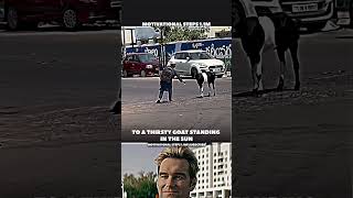 The fine upbringing of a little child ❤️‍🩹🫡#shorts