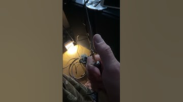 Zoom MS-70CDR effect. Chorus, delay, reverb.