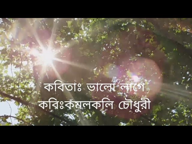ভালো লাগে | কমলকলি চৌধুরী |রেবা আক্তার| #বাংলা_কবিতা #bangla_poem