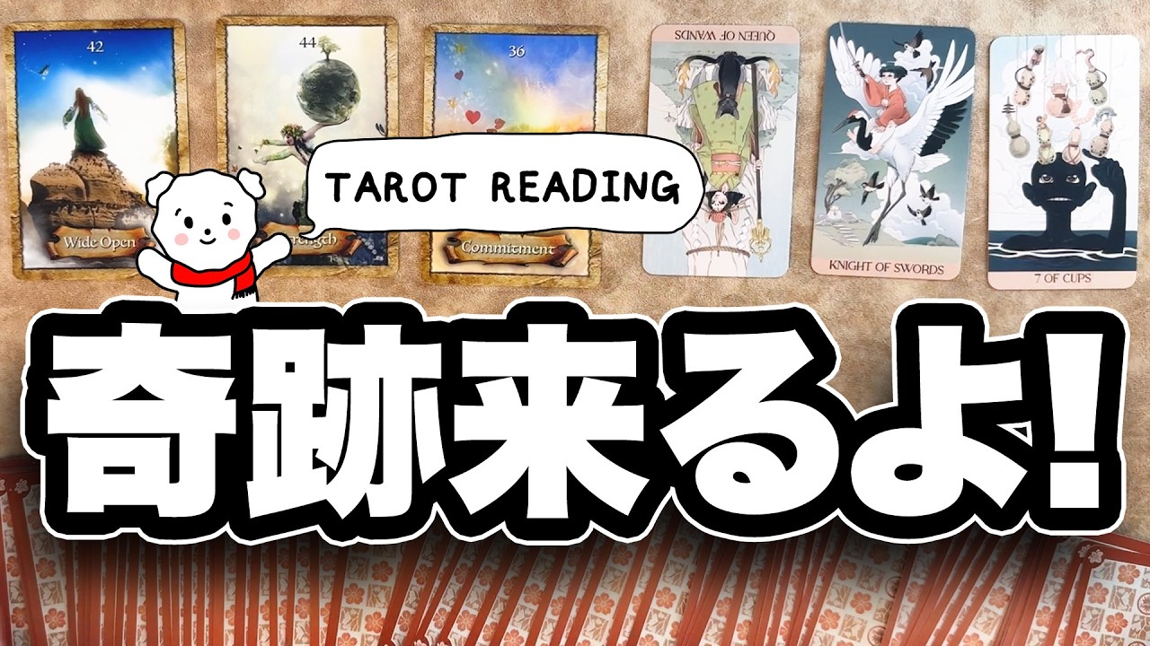これから、あなたが掴む奇跡を徹底的に占います🎴【タロット占い】見た時がタイミング