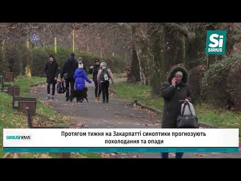 Протягом тижня на Закарпатті синоптики прогнозують похолодання та опади