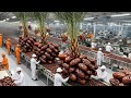 Inside Modern Date Factory From Farms To Kitchen Table Full Process 