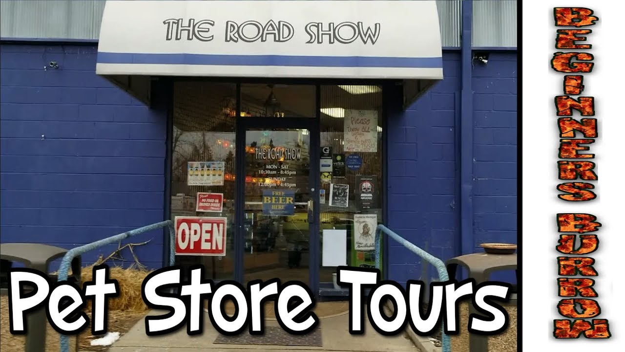 Pet Shop Tours Beginners Burrow YouTube