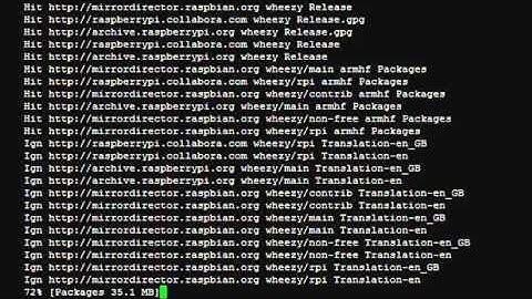 Preparing the Raspberry Pi for Blynk and Wiring Pi