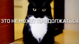 Это не может продолжаться…