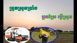 ច្រូតស្រូវប្រាំង