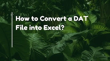 How to Convert a DAT File into Excel?