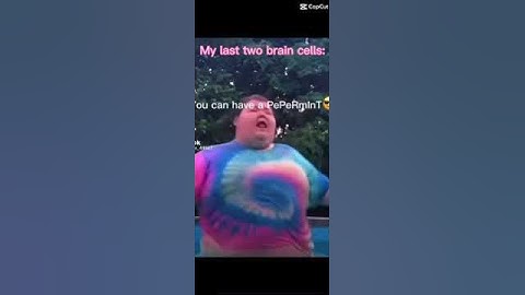My last 2 brain cells be like #funny #memes