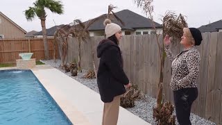 Protect your plants; how neighbors are making sure palm trees don't freeze