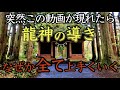 強力注意⚠️この動画を見つけたときが願いが叶う絶好日※次々と良い事が起こり始めます【戸隠神社奥社・九頭龍社参拝】143