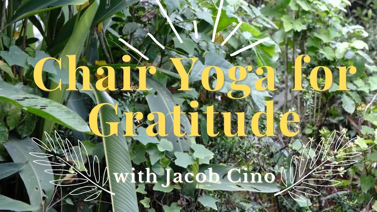 Chair Yoga for Gratitude with Jacob Cino YouTube