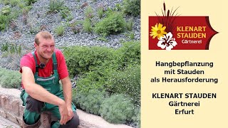 Hangbepflanzung Mit Stauden Als Herausforderung