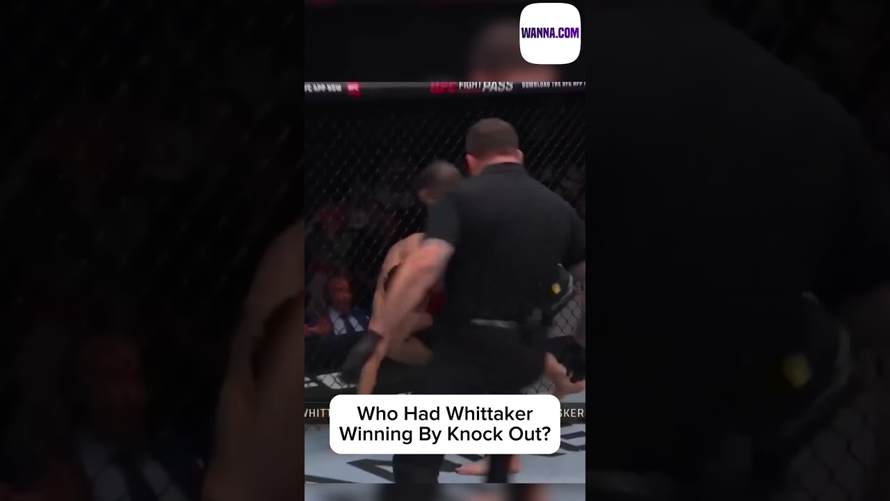 Who Did You Have In The Fight? 🤔 