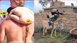 TRY NOT TO LAUGH 😂 Best Funny Videos compilation - Funny Fails Compilation 2024