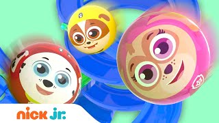 PAW Patrol Pups in Marble Race #2!  🏁 | Nick Jr. screenshot 5