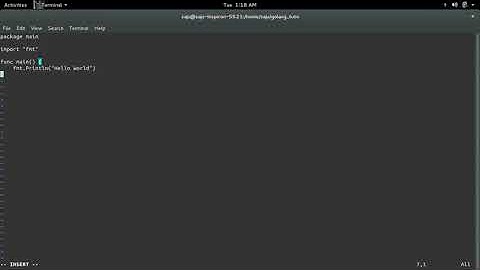 go golang Formatting Code source file