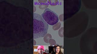 Monoblast Morphological Characteristics screenshot 3