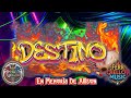 Destino - Marianliv. (VO: Masto "El Bebote") 