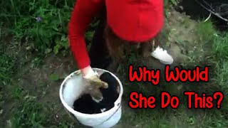 The Girl Who Threw Puppies Into a River...