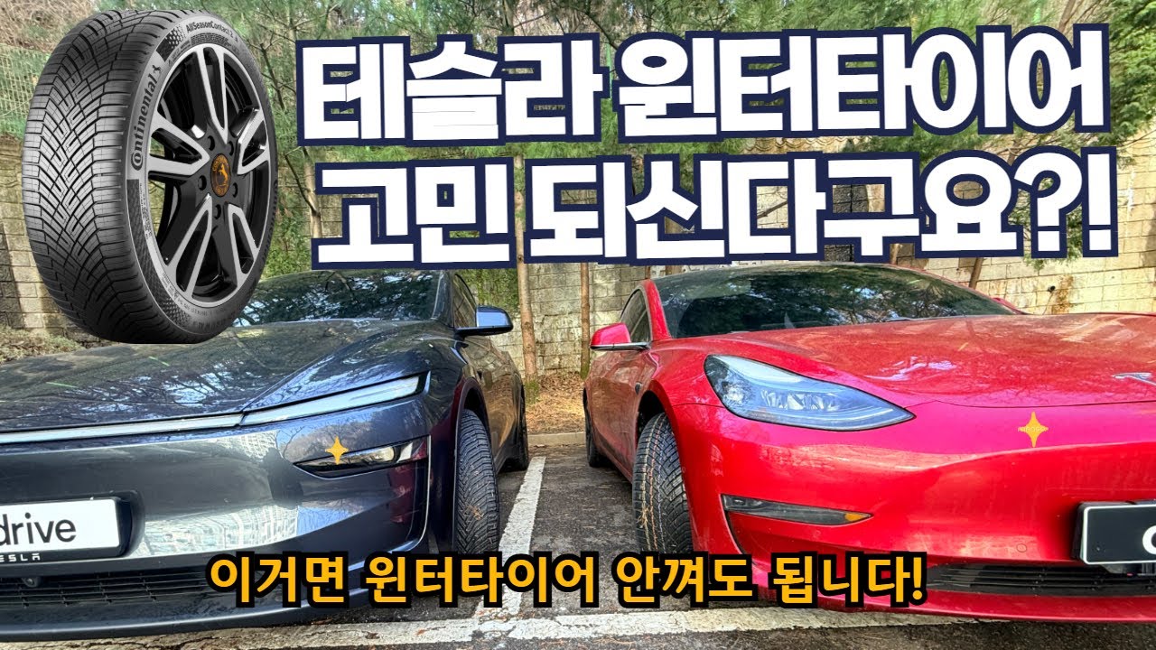 테슬라 윈터타이어 끼지 마세요 - 윈터타이어 고민 이렇게 해결했습니다 [쿠팡 로켓설치 후기]