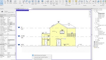 Temporary View Properties