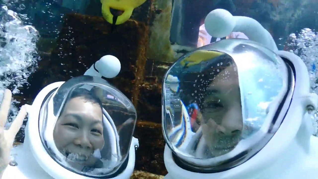 Sea Trek Helmet Diving Atlantis Bahamas Paradise Island Nassau YouTube