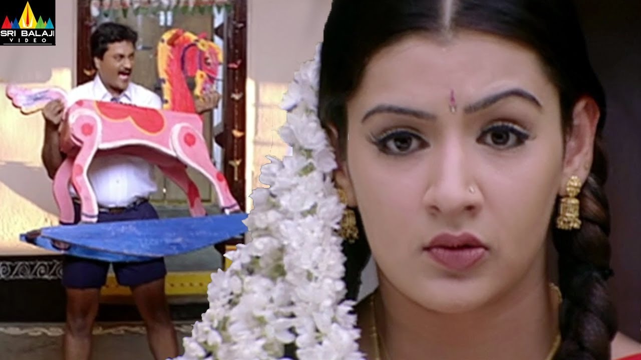 Andala Ramudu Movie Scenes  Sunil Comedy with Aarti Agarwal  Telugu Movie Scenes Sri Balaji Video