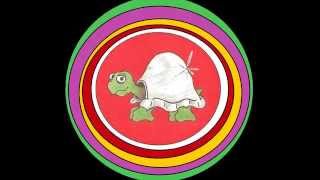TERRY THE TIME TRAVELLING TORTOISE: THE PROMO VIDEO