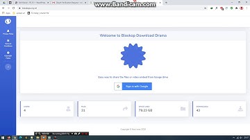 Verify google drive api login scope request