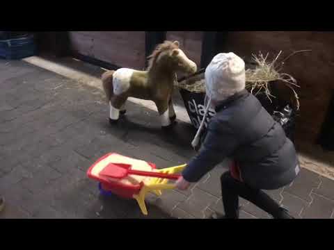 Video: Kramper I Hästar - Behandling Av Hästbeslag