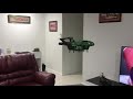 Thunderbird 2 Flying in my Loungeroom