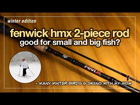Is Fenwick HMX 2-Piece Rod Good For Small AND Big Fish? (Winter Canoe  Fishing) 