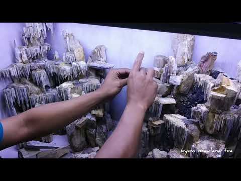 tutorial-pembuatan-hardscape-stalaktit-dari-batu-fosil