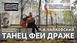 П.И.Чайковский "Танец Феи Драже" Исполняет вся страна! #ШедеврыРусскойКультуры