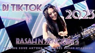 Dj Tiktok Terbaru 2023  Rasah Nyangkem 3    Bass