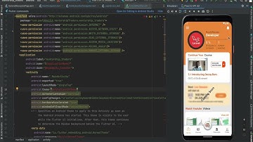 Allow Access and Request Install Packages Permission